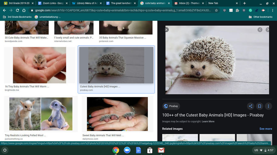 13 Pictures And Memes That Will Make Your Day!