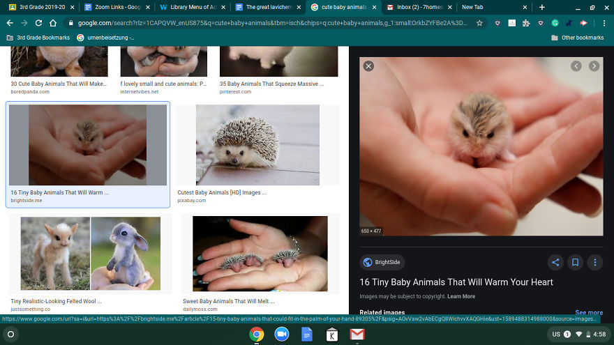 13 Pictures And Memes That Will Make Your Day!