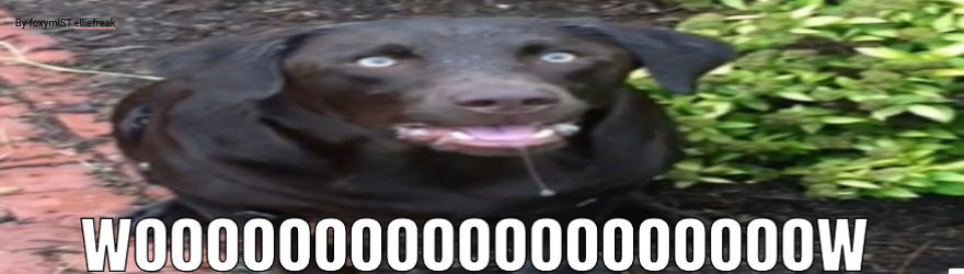 A Little Meme For Laughter