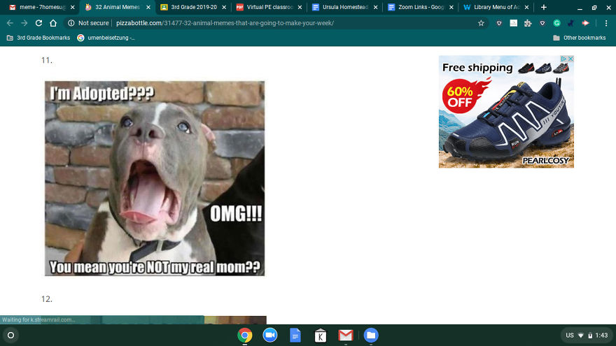 13 Pictures And Memes That Will Make Your Day!