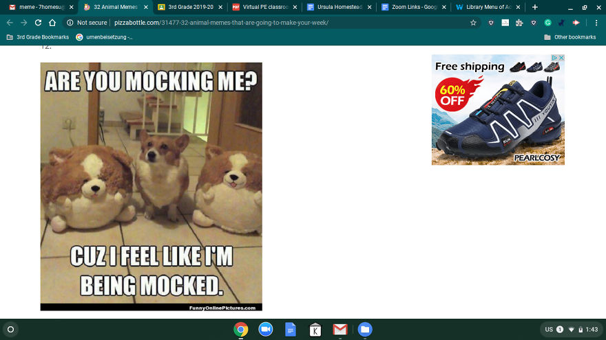 13 Pictures And Memes That Will Make Your Day!