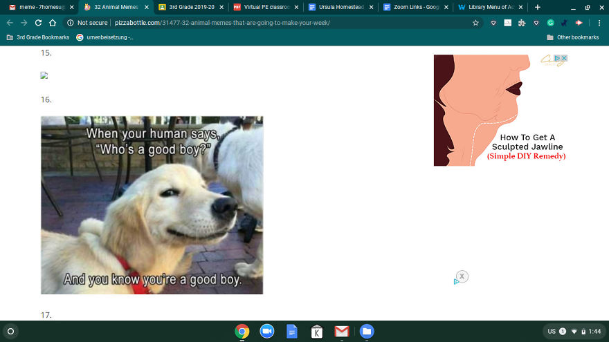 13 Pictures And Memes That Will Make Your Day!