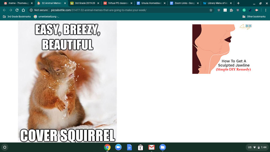 13 Pictures And Memes That Will Make Your Day!