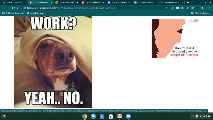 13 Pictures And Memes That Will Make Your Day!