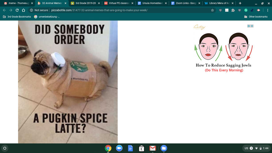 13 Pictures And Memes That Will Make Your Day!