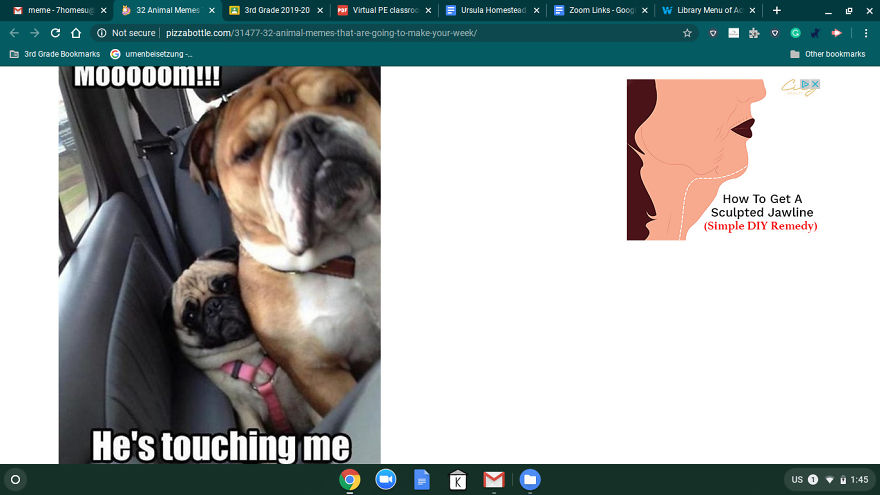 13 Pictures And Memes That Will Make Your Day!