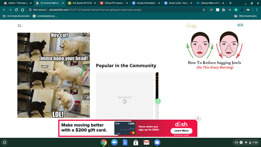 13 Pictures And Memes That Will Make Your Day!