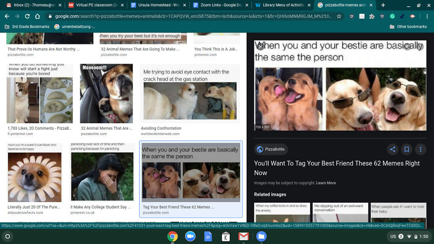 13 Pictures And Memes That Will Make Your Day!