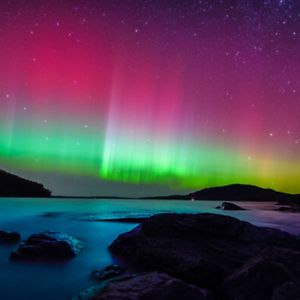 emilymurraycook avatar