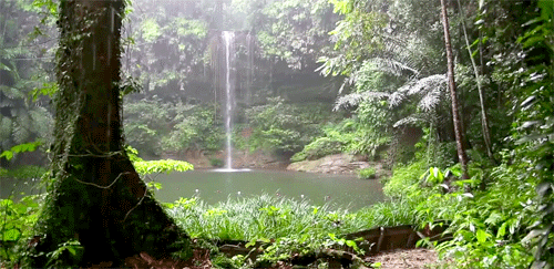 Serenity In Quarantine Serenity In Quarantine