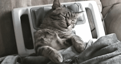 Serenity In Quarantine