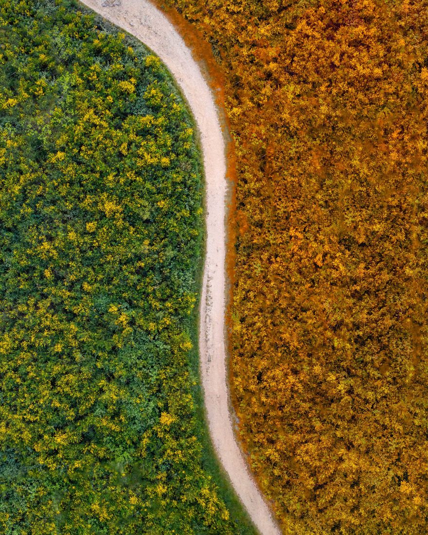 Spring Facing Autumn