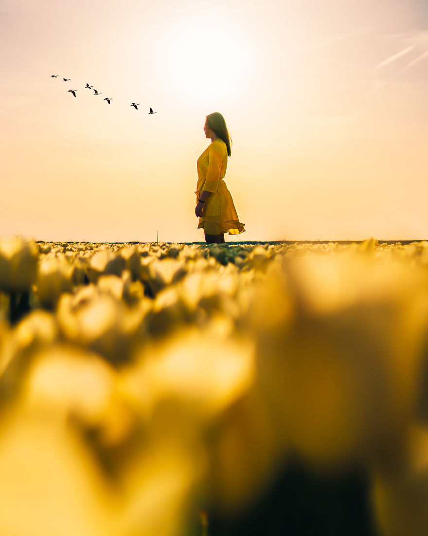 Spring In The Netherlands