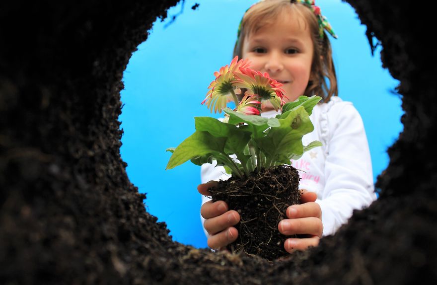 Spring: The Ideal Time To Transplant