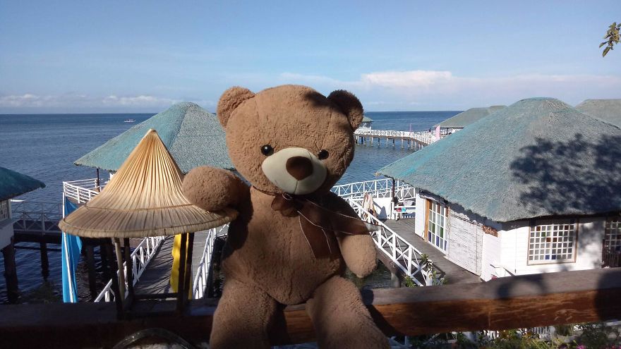 The Adventures Of Milo The Bear