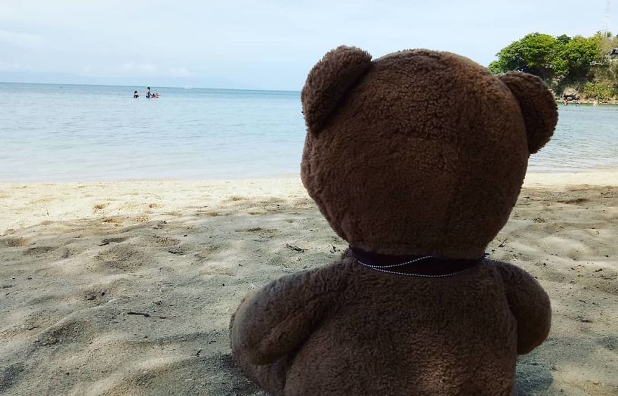 The Adventures Of Milo The Bear