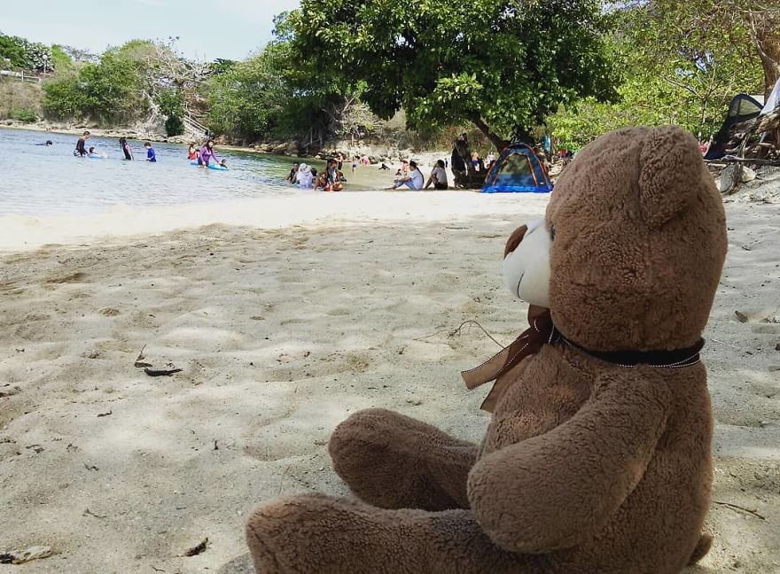 The Adventures Of Milo The Bear