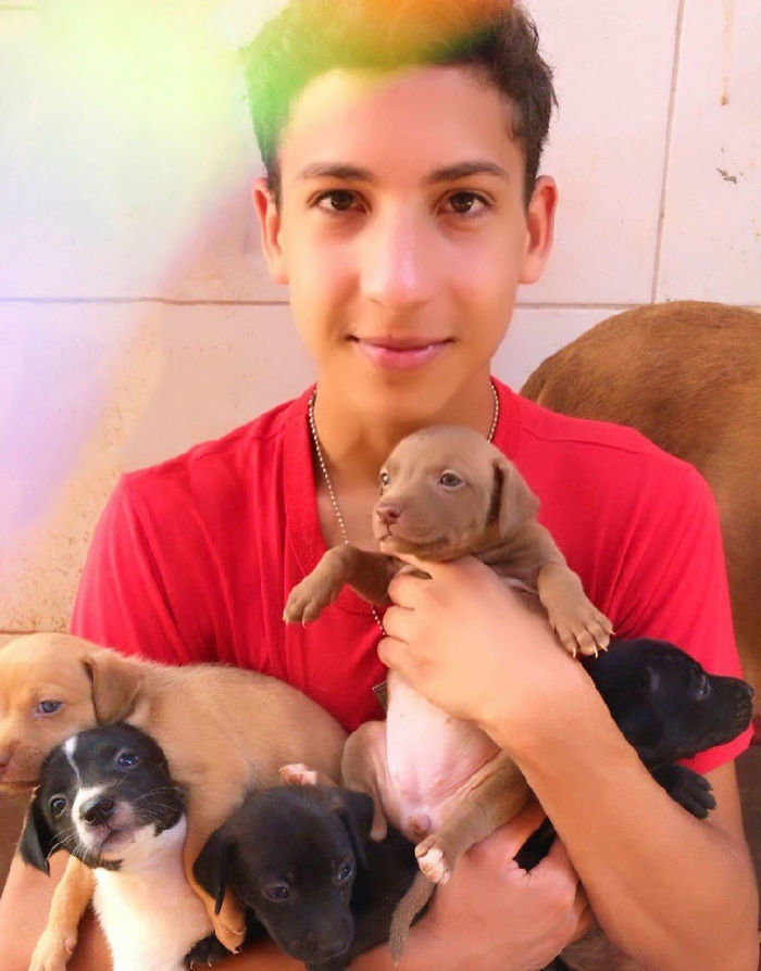 17-Year-Old Opens A Unique Animal Shelter And He Has Already Rescued 22 Dogs And 4 Cats 17-Year-Old Opens A Unique Animal Shelter And He Has Already Rescued 22 Dogs And 4 Cats