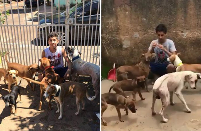17-Year-Old Opens A Unique Animal Shelter And He Has Already Rescued 22 Dogs And 4 Cats 17-Year-Old Opens A Unique Animal Shelter And He Has Already Rescued 22 Dogs And 4 Cats