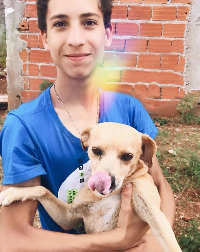 17-Year-Old Opens A Unique Animal Shelter And He Has Already Rescued 22 Dogs And 4 Cats 17-Year-Old Opens A Unique Animal Shelter And He Has Already Rescued 22 Dogs And 4 Cats