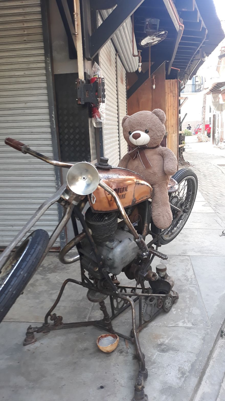 The Adventures Of Milo The Bear