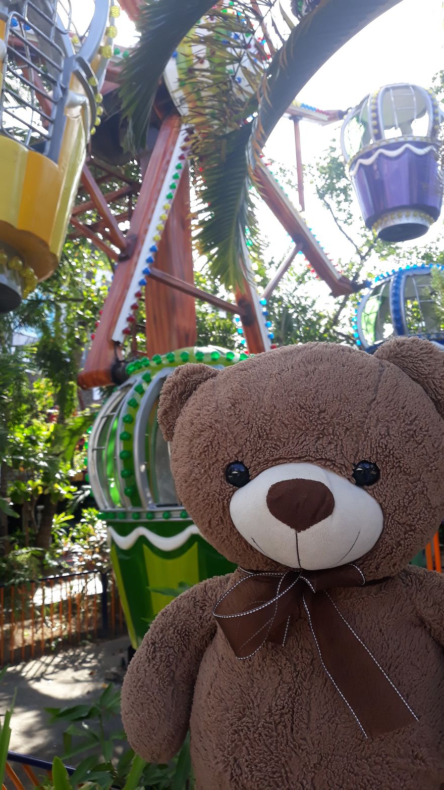 The Adventures Of Milo The Bear