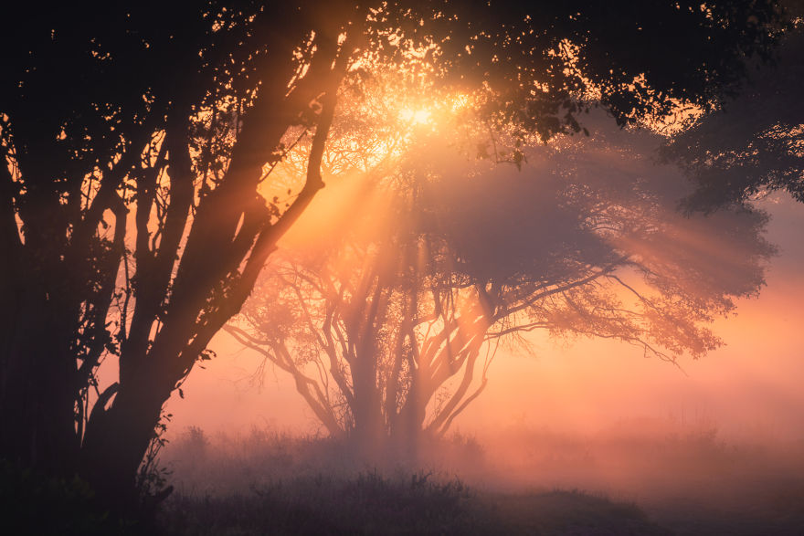 Why The Netherlands Is The Most Beautiful Country In The World!