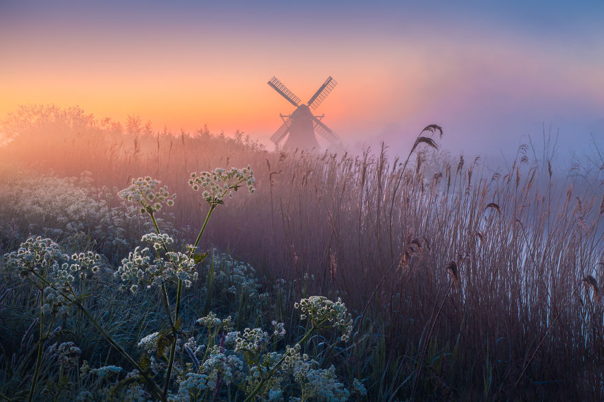 Why The Netherlands Is The Most Beautiful Country In The World!