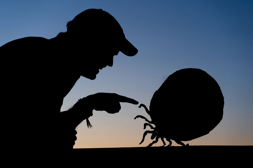 My Cardboard Cutouts With Pandemic Jokes To Make You Smile My Cardboard Cutouts With Pandemic Jokes To Make You Smile