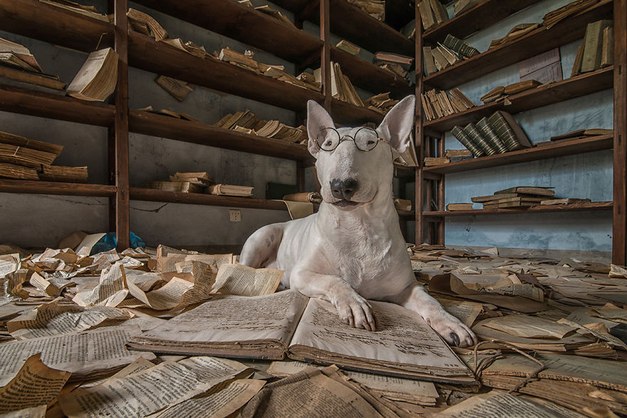 Divorce Lawyers Have Been Waiting For This―Married Couples Quarantined With Each Other For Weeks