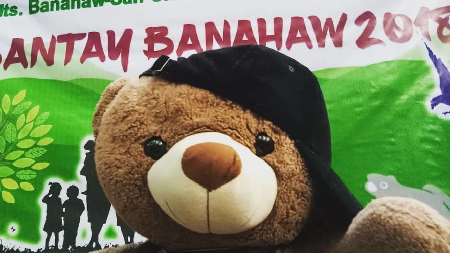 The Adventures Of Milo The Bear