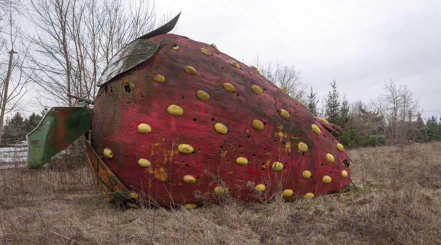We Captured This Huge, Abandoned Strawberry Twice - In The Springtime And In The Wintertime. The Difference Is Significant! (10 Pictures) We Captured This Huge, Abandoned Strawberry Twice - In The Springtime And In The Wintertime. The Difference Is Significant! (10 Pictures)