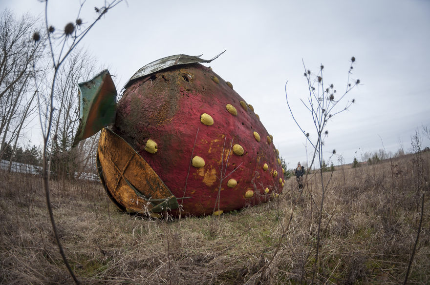 We Captured This Huge, Abandoned Strawberry Twice - In The Springtime And In The Wintertime. The Difference Is Significant! (10 Pictures) We Captured This Huge, Abandoned Strawberry Twice - In The Springtime And In The Wintertime. The Difference Is Significant! (10 Pictures)
