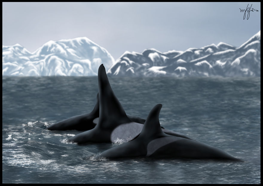 Whales And Dolphins Art