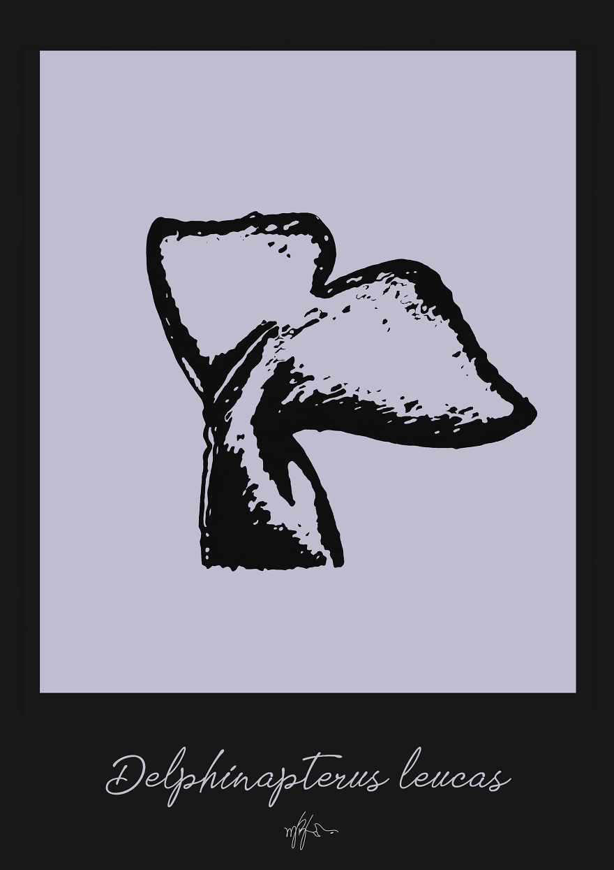 Whales And Dolphins Art