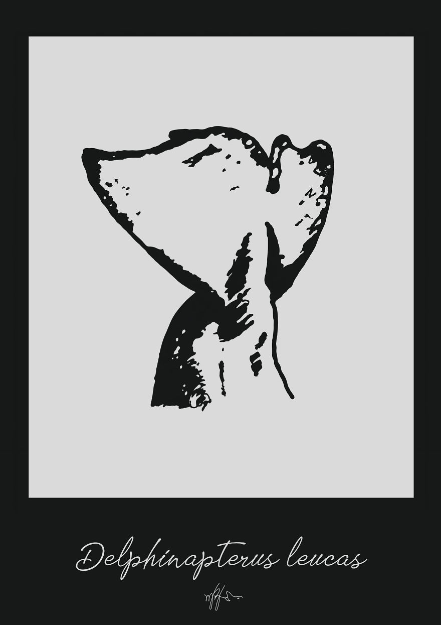 Whales And Dolphins Art