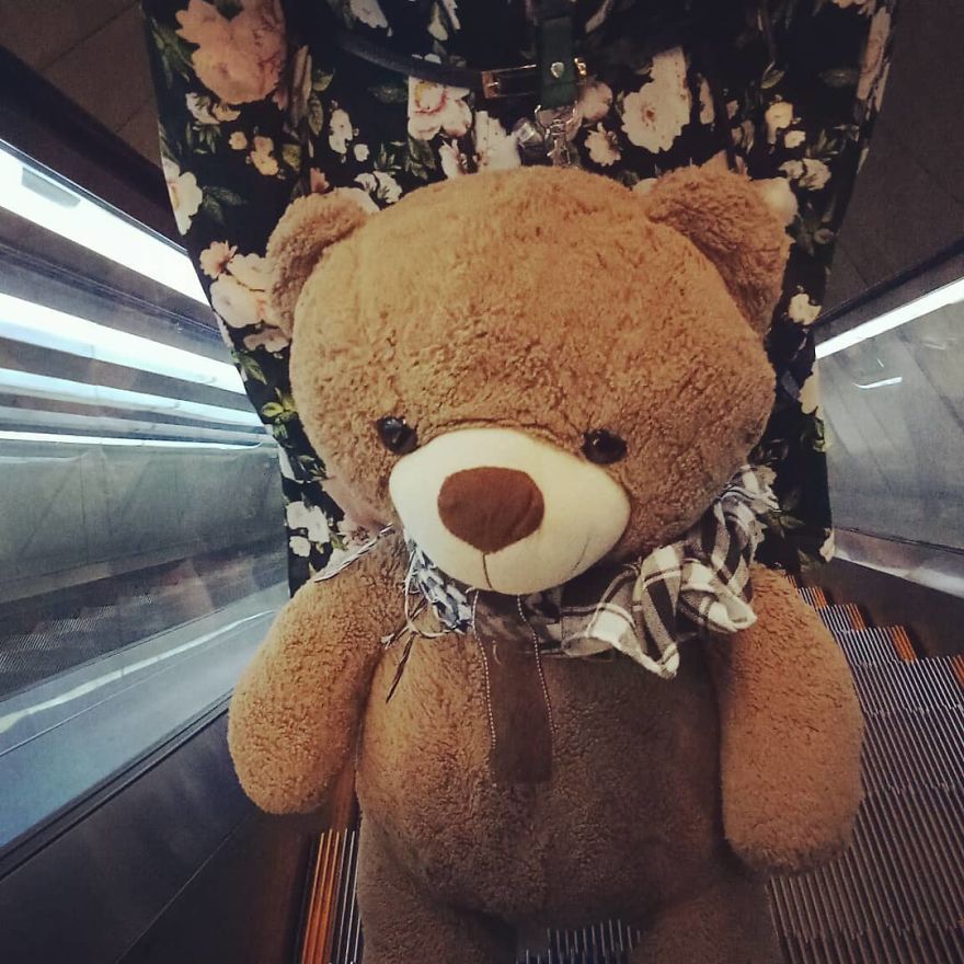 The Adventures Of Milo The Bear