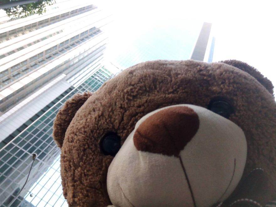 The Adventures Of Milo The Bear