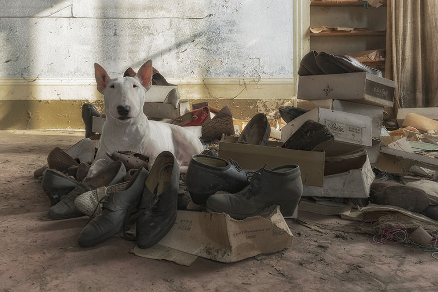 Coronavirus Got Here So Quickly From China Before We Realized It. It Had Already Arrived While Orders From Aliexpress And Wish Take Months To Get Here