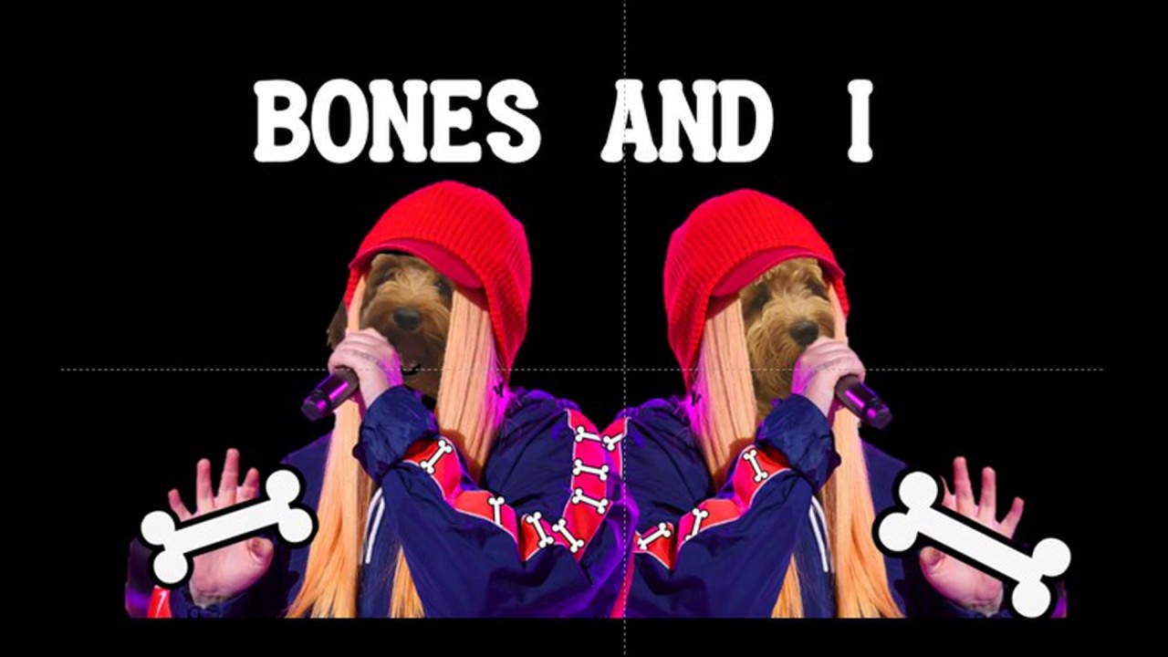 The Best Dance Monkey Parody Of All Time?