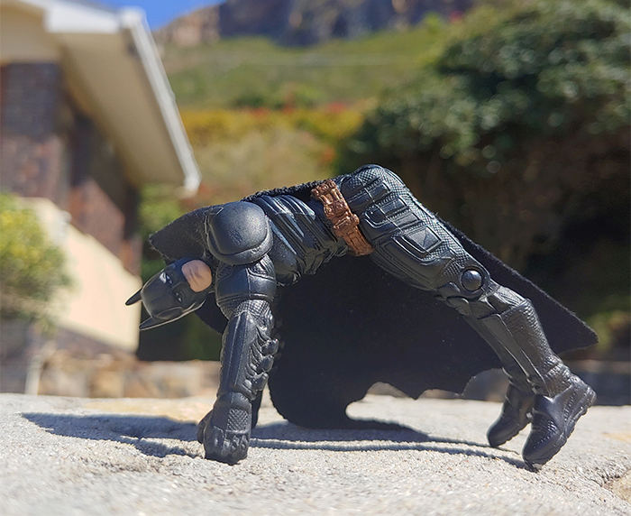 I Post The Everyday Life Of Batman During Self-Isolation (39 Pics)