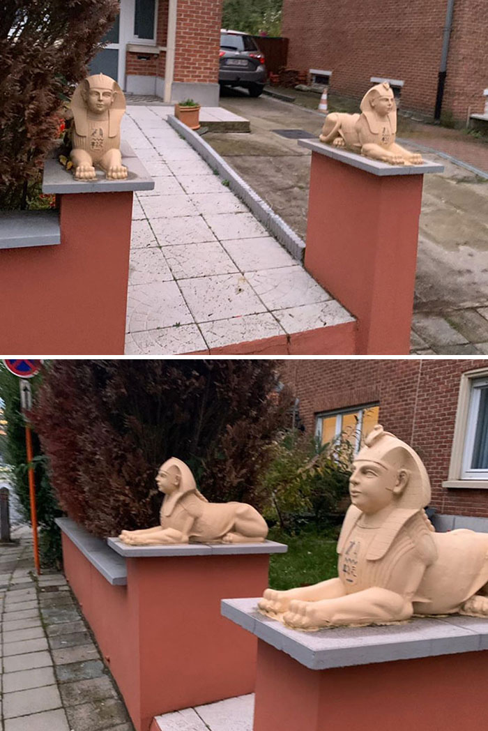 He Took It Too Pharaoh