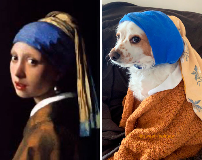 Dog With The Pearl Earring Woof