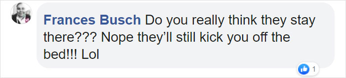 This Company Makes Custom Wooden Bed Frames With Built-In Pet Beds