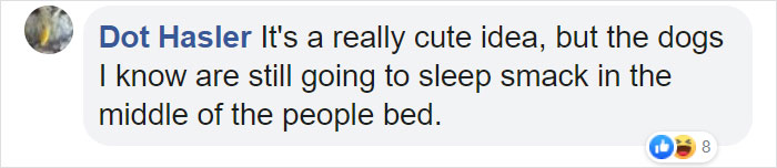 This Company Makes Custom Wooden Bed Frames With Built-In Pet Beds This Company Makes Custom Wooden Bed Frames With Built-In Pet Beds