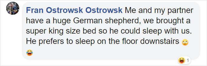 This Company Makes Custom Wooden Bed Frames With Built-In Pet Beds