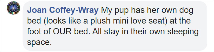 This Company Makes Custom Wooden Bed Frames With Built-In Pet Beds