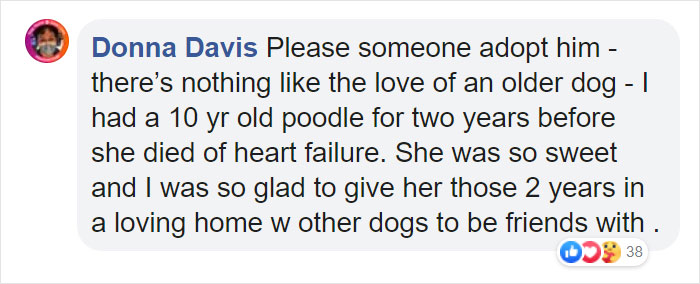 Heartbreaking Photos Show How Much Living In A Dog Shelter For 6 Years Changes A Dog