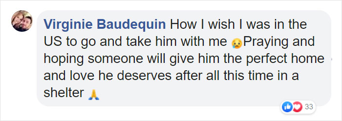 Heartbreaking Photos Show How Much Living In A Dog Shelter For 6 Years Changes A Dog Heartbreaking Photos Show How Much Living In A Dog Shelter For 6 Years Changes A Dog