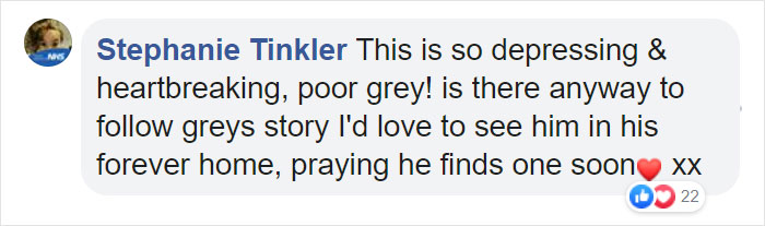 Heartbreaking Photos Show How Much Living In A Dog Shelter For 6 Years Changes A Dog Heartbreaking Photos Show How Much Living In A Dog Shelter For 6 Years Changes A Dog